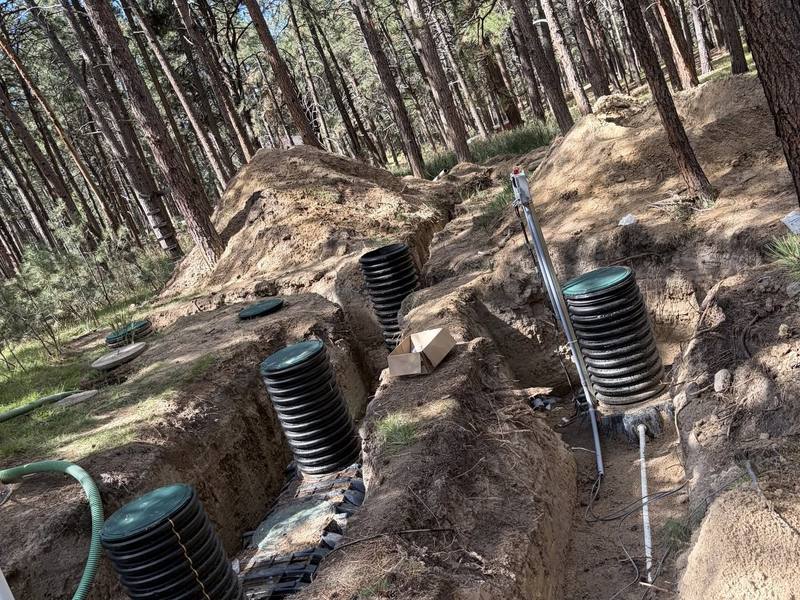 Several black septic risers with green lids set in an open excavation in the pines